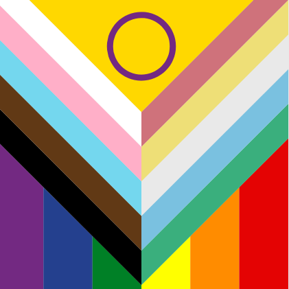 Disability Inclusive Progress Pride Flag Disability Inclusive Progress Pride Flag