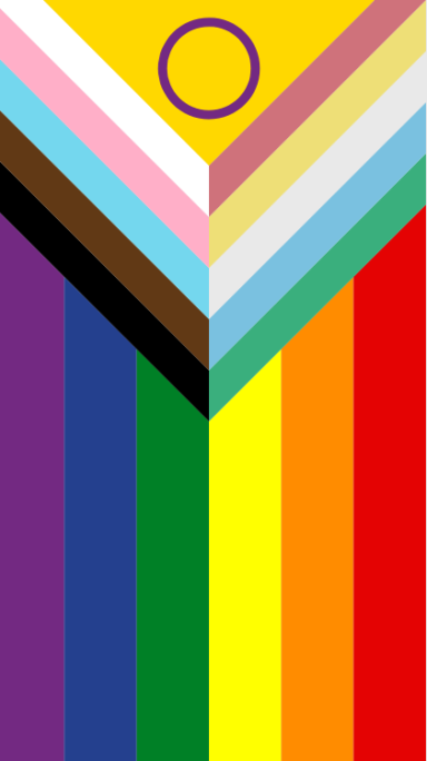 Disability Inclusive Progress Pride Flag Disability Inclusive Progress Pride Flag